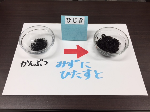 うめだ 子供の家 ブログ 足立区梅田の保育園