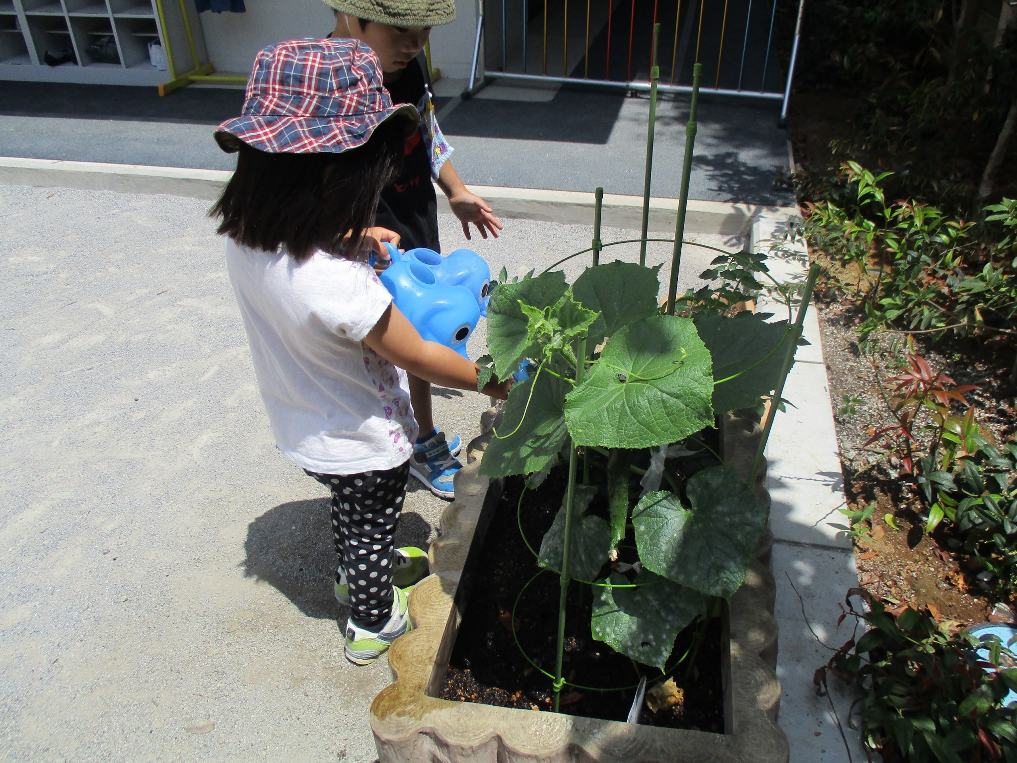 うめだ 子供の家 ブログ 足立区梅田の保育園